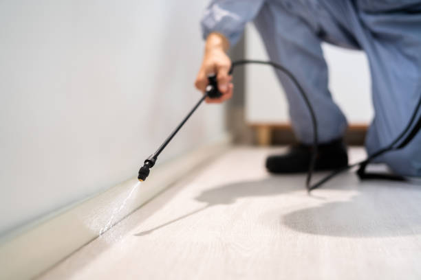Licensed Wasp Removal service in Chauvin, LA - Show Me Pest Control