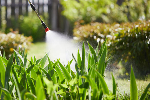 24/7 Emergency Wasp Removal experts in Chauvin, LA