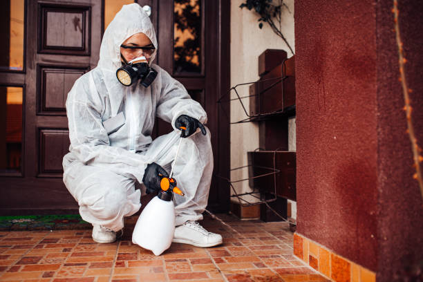 Reliable Wasp Removal contractor in Chauvin, LA by Show Me Pest Control