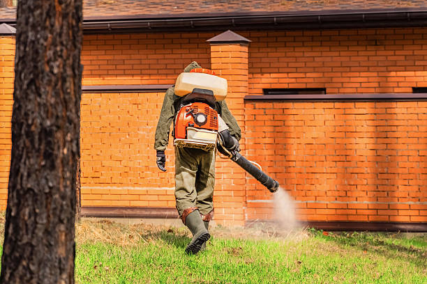 Top rated local Wasp Removal specialists in Chauvin, LA